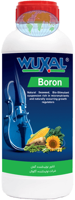 Wuxal-Boron-وکسال-بُر